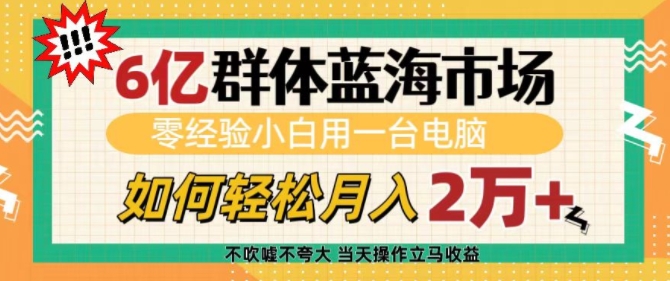 6亿群体蓝海市场，零经验小白用一台电脑，如何轻松月入过w【揭秘】