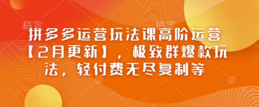 拼多多运营玩法课高阶运营【2月更新】，极致群爆款玩法，轻付费无尽复制等