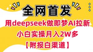 用deepseek做即梦Ai拉新 小白实操月入过W+【附报白渠道】-每日必学网