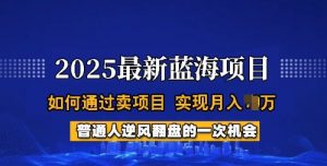 2025蓝海项目，普通人如何通过卖项目，实现月入过W，全过程【揭秘】-每日必学网