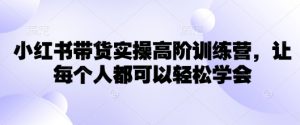 小红书带货实操高阶训练营，让每个人都可以轻松学会-每日必学网