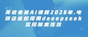 天诺老吴AI课程2025年，电商企业如何用deeepseek实现降本提效-每日必学网