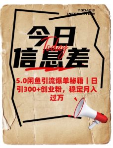 5.0闲鱼引流爆单秘籍，日引300+创业粉，稳定月入过W-每日必学网