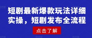 短剧最新爆款玩法详细实操，短剧发布全流程-每日必学网