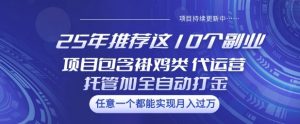 25年推荐这10个副业项目包含褂鸡类、代运营托管类、全自动打金类【揭秘】-每日必学网
