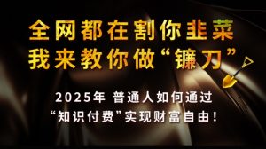 全网都在割你韭菜，我来教你做镰刀,2025普通人如何通过知识付费，实现财F自由【揭秘】-每日必学网