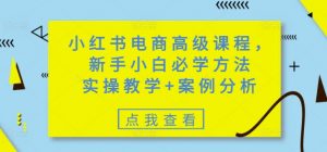 小红书电商高级课程，新手小白必学方法，实操教学+案例分析-每日必学网