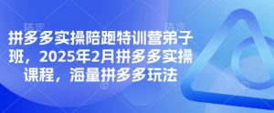 拼多多实操陪跑特训营弟子班，2025年2月拼多多实操课程，海量拼多多玩法-每日必学网