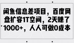 闲鱼信息差项目，百度网盘扩容1T空间，2天收益1k+，人人可做0成本-每日必学网