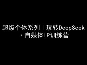 超级个体系列，玩转DeepSeek·自媒体IP训练营，deepseek教程-每日必学网