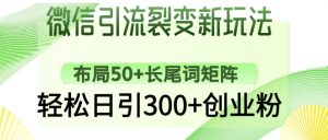 微信引流裂变新玩法：布局50+长尾词矩阵，轻松日引300+创业粉-每日必学网