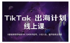 TikTok跨境电商新手起号与运营全攻略，0基础做跨境电商TIKTOK新手起号，小店入驻，操作指南全流程-每日必学网