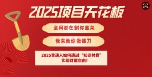 2025项目天花板普通人如何通过知识付费，实现财F自由【揭秘】-每日必学网