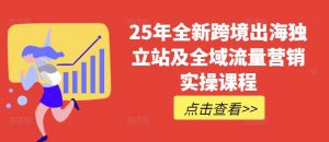 25年全新跨境出海独立站及全域流量营销实操课程，跨境电商独立站TIKTOK全域营销普货特货玩法大全-每日必学网