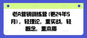 老A营销训练营(更25年3月)，轻理论，重实战，轻概念，重本质-每日必学网