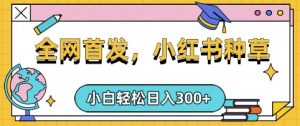 小红书种草，手机项目，日入3张，复制黏贴即可，可矩阵操作，动手不动脑【揭秘】-每日必学网