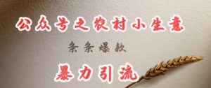 deepseek写农村小项目，条条爆款，暴力引流-每日必学网