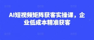 AI短视频矩阵获客实操课，企业低成本精准获客-每日必学网