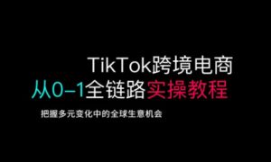 TikTok跨境电商从0-1全链路全方位实操教程，把握多元变化中的全球生意机会-每日必学网