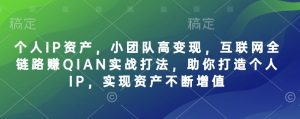 个人IP资产，小团队高变现，互联网全链路赚QIAN实战打法，助你打造个人IP，实现资产不断增值-每日必学网