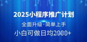 2025小程序推广计划，全面升级，简单上手，日均多张【揭秘】-每日必学网