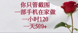 你只管截图，一部手机在家操作，一小时120.一天5张【揭秘】-每日必学网