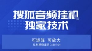 【搜狐音频挂G】独家技术，可矩阵可放大，红利期稳定月入8k【揭秘】-每日必学网