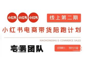 小红书电商带货课2期，月利润20个的小红书电商的有货源，无货源，虚拟产品，付费投流等整套玩法-每日必学网