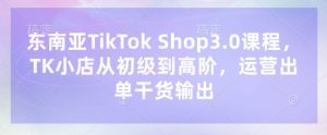东南亚TikTok Shop3.0课程，TK小店​从初级到高阶，运营出单干货输出-每日必学网