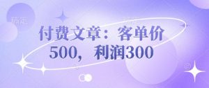 付费文章：客单价500，利润300-每日必学网