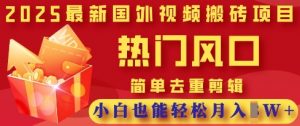 2025最新视频搬砖项目，热门风口，简单去重剪辑，小白也能轻松月入过W-每日必学网