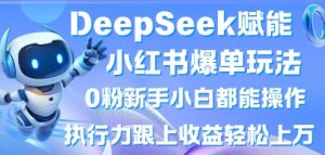 DeepSeek赋能小红书爆单玩法0粉新手小白都能操作，执行力跟上收益轻松上W，懒人勿做-每日必学网