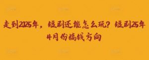 走到2025年，短剧还能怎么玩？短剧25年4月份搞钱方向-每日必学网