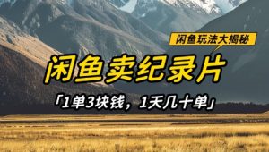 闲鱼卖纪录片1单3块钱，1天几十单，项目稳定有潜力-每日必学网