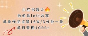 小红书超火的治愈系loft公寓，单条作品点赞16W，3分钟一条，单日变现数张-每日必学网