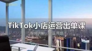 TikTok小店运营出单课，从开店选品、运营出单、发货回款，进行全流程讲解-每日必学网