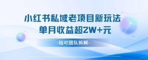 小红书私域项目新玩法，单月变现过W+-每日必学网
