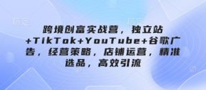 跨境创富实战营，独立站+TikTok+YouTube+谷歌广告，经营策略，店铺运营，精准选品，高效引流-每日必学网