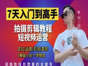 7天入门到高手，短视频剪辑运营高手课，定位 运营 引|流 变现，0基础小白一学就会-每日必学网