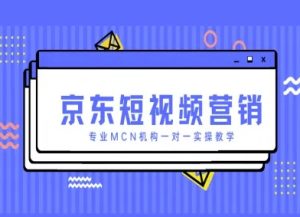 京东短视频营销项目，专业MCN机构一对一实操教学-每日必学网