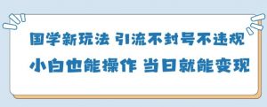 国学新玩法，引流不封号不违规小白也能操作，当日就能变现-每日必学网