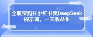 全职宝妈在小红书卖DeepSeek提示词，一天收益1k-每日必学网