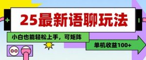 25年最新语聊玩法，纯手工，单机收益100+，小白也能轻松上手，可矩阵操作-每日必学网