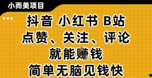 小而美的项目，抖音小红书B站视频点赞、关注、评论就能挣钱，简单无脑立见收益，妥妥的零撸项目【揭秘】-每日必学网