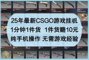 25年最新CSGO游戏挂G，1分钟1件货，1件货挣10元，纯手机操作，无需游戏经验【揭秘】-每日必学网