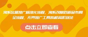 淘系运营推广标准化流程，​淘系改版后新品布局全流程，无界推广工具拆解高阶玩法-每日必学网