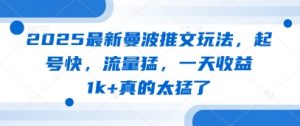 2025最新曼波推文玩法，起号快，流量猛，一天收益1k+真的太猛了-每日必学网