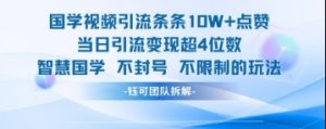国学视频引流条条10W+点赞当日引流变现超4位数-每日必学网