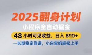2025小程序全自动掘金，48 小时可见收益，日入8张，长期稳定靠谱，小白宝妈轻松上手【揭秘】-每日必学网