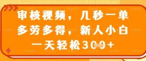 视频审核员，几秒一单，不限时间，不限地点，多做多得，新人小白一天轻松几张+【揭秘】-每日必学网